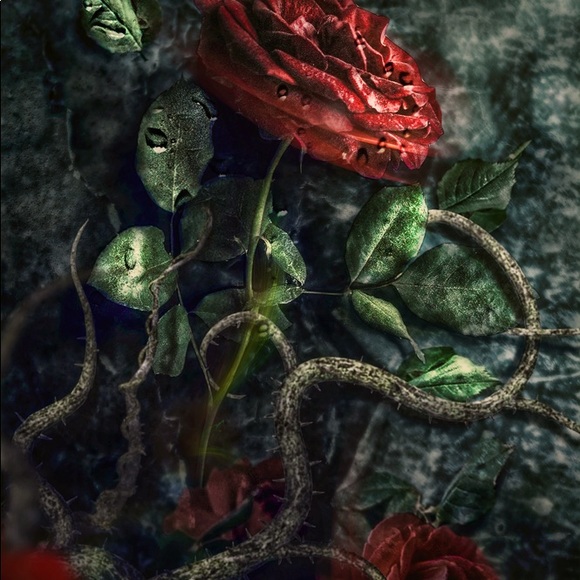 Meet your Posher, Posh - Picture 1 of 2